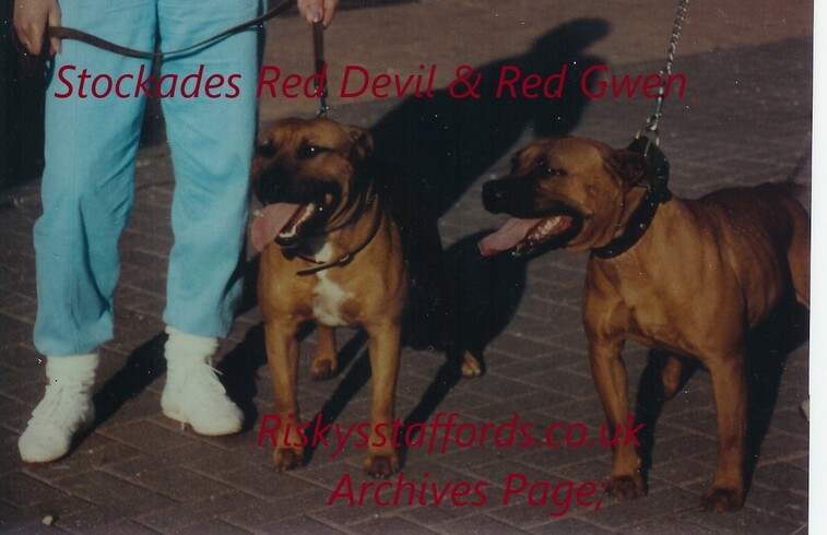 Stockades Red Devil & Stockades Red Gwen.