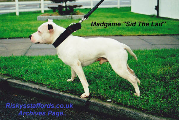 Madgame Sid The Lad
