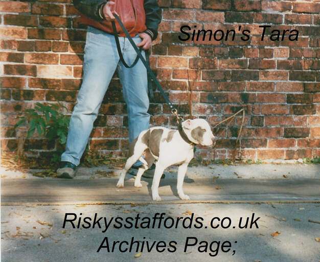 Simon's Tara. Shaun Barker Show 1995